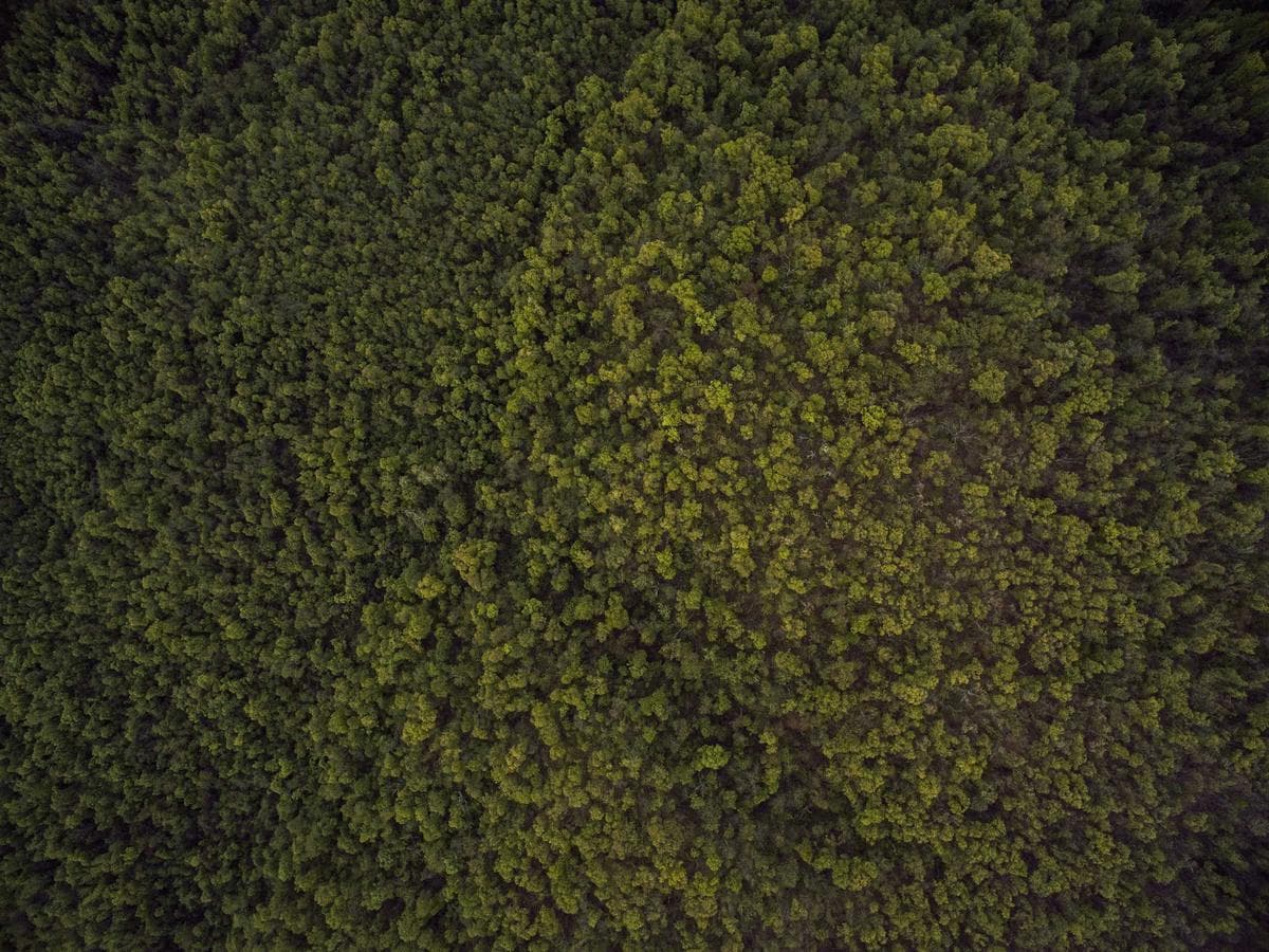 Maison Ferrand — photo 1